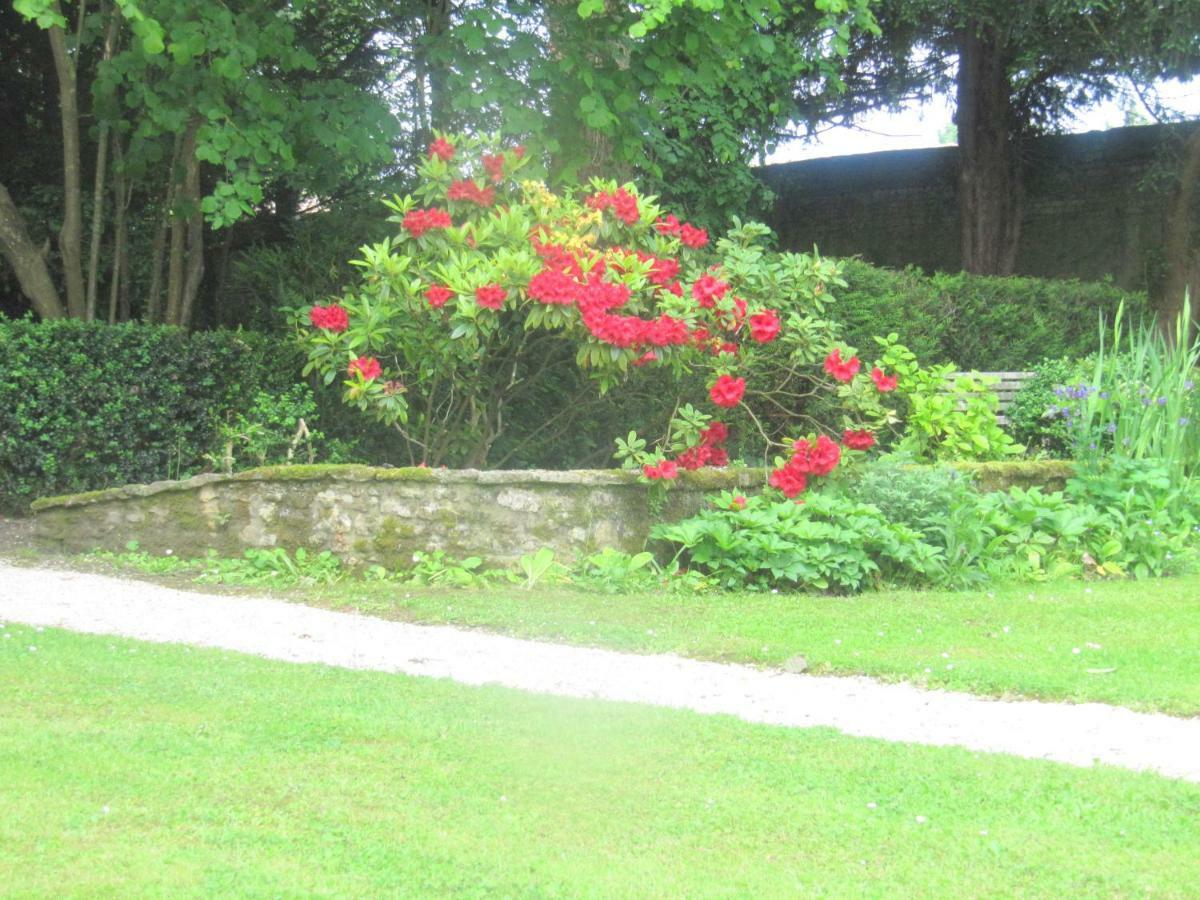Bed & Breakfast Chateau Les Cedres Bretteville-l'Orgueilleuse Exterior foto