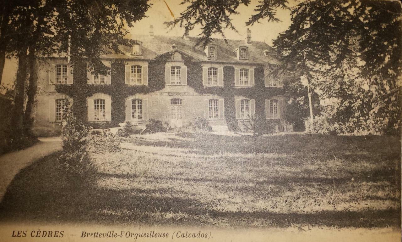 Bed & Breakfast Chateau Les Cedres Bretteville-l'Orgueilleuse Exterior foto